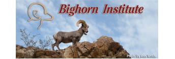 Bighorn Institute